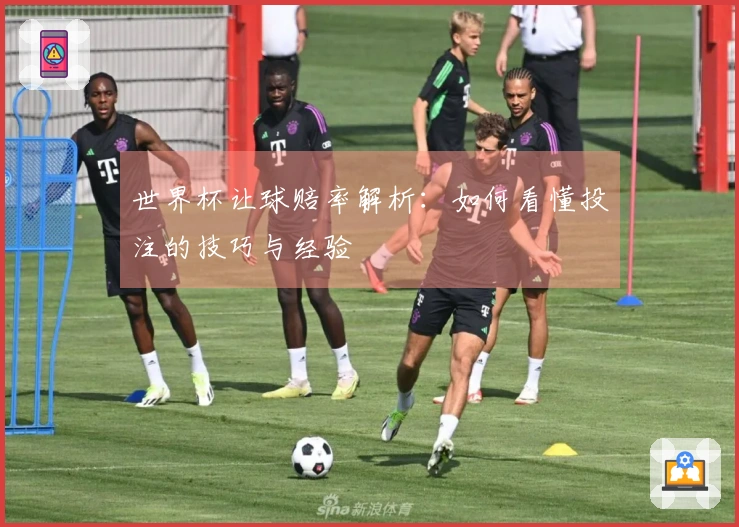 世界杯让球赔率解析：如何看懂投注的技巧与经验