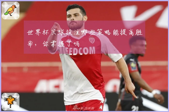 世界杯买球投注哪些策略能提高胜率，你掌握了吗